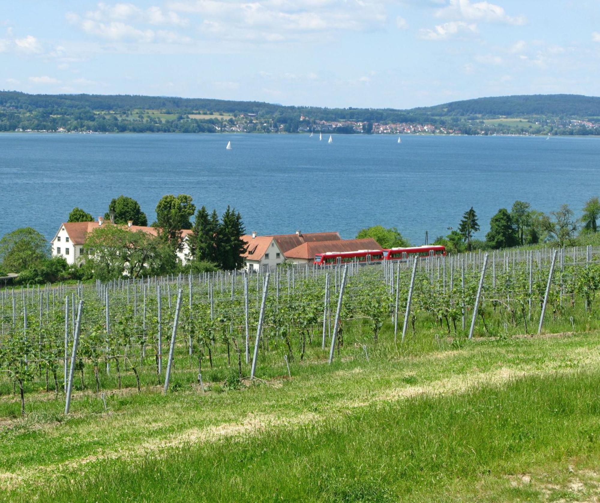 Ueberlinger Ferienidylle Apartment Uberlingen Luaran gambar